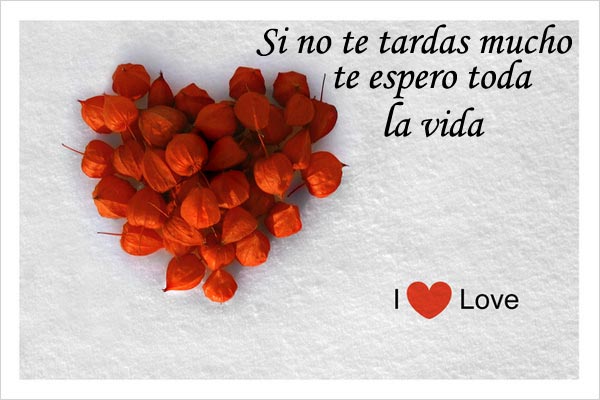 AMOR CON FRASES